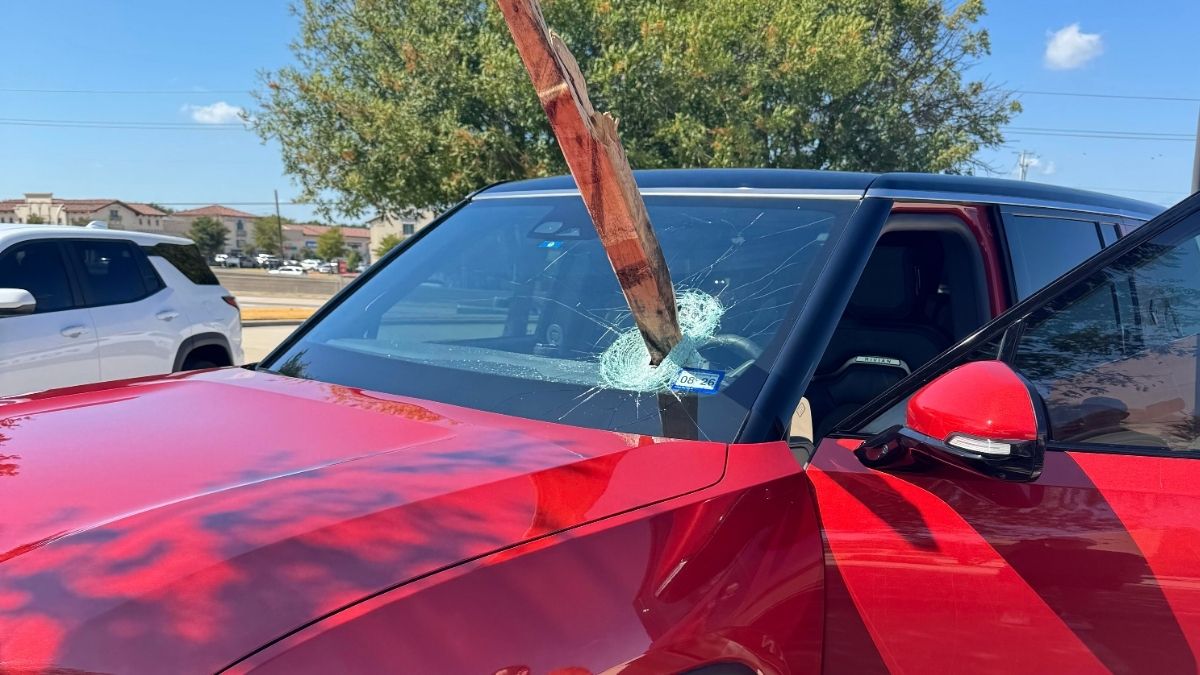 15 Photos Where Someone is in a Bit of a Predicament