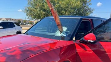 15 Photos Where Someone is in a Bit of a Predicament
