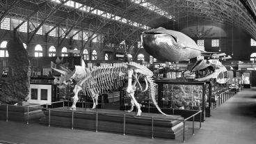 15 Photos Specifically for the History Nerds