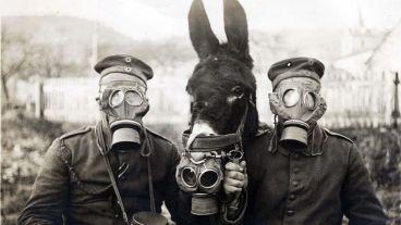 15 Historical Photos That Air on the Side of Uneasy