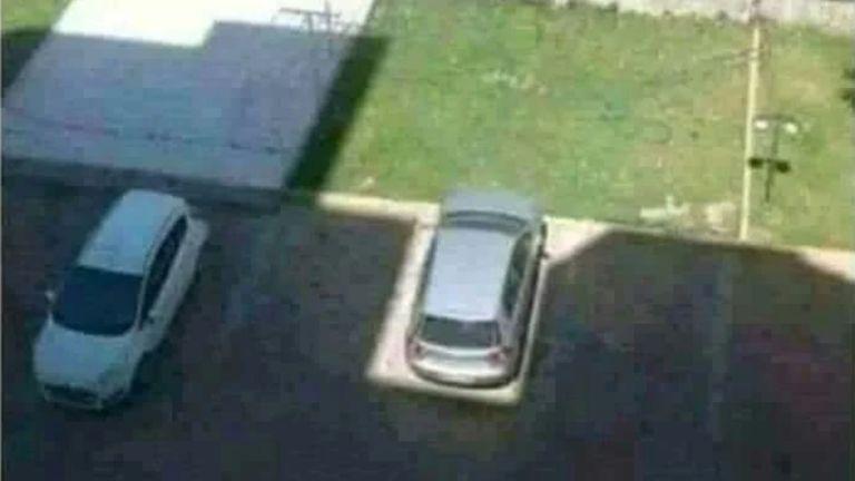 14 Random Photos Where Chaos is Happening