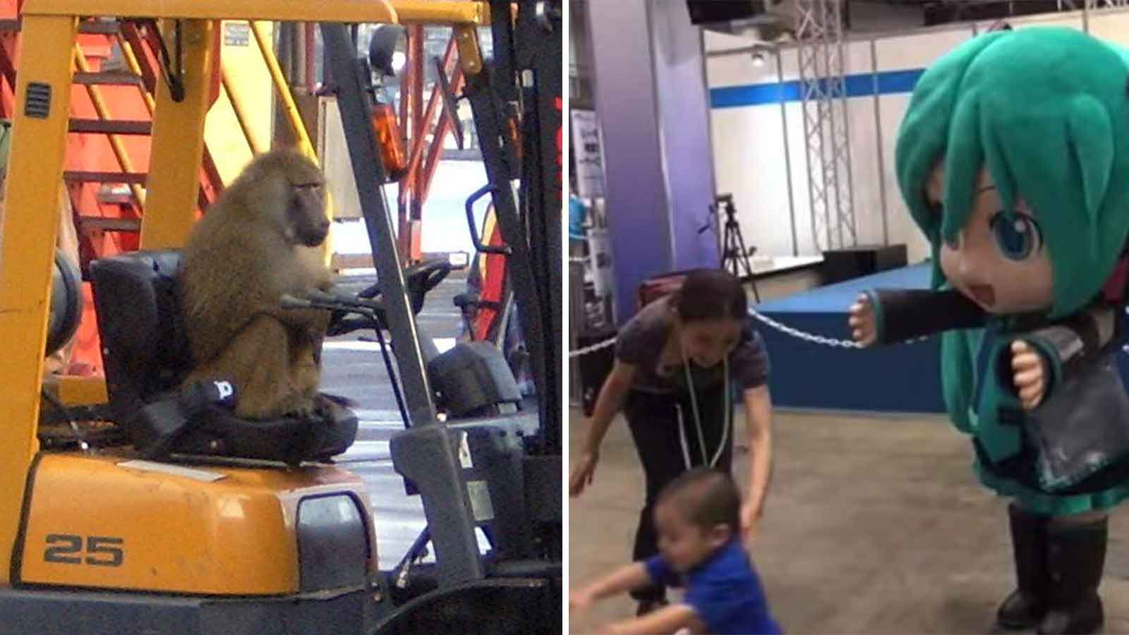 15 Fun Photos That We Can’t Exactly Explain