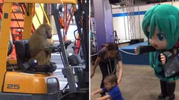 15 Fun Photos That We Can’t Exactly Explain