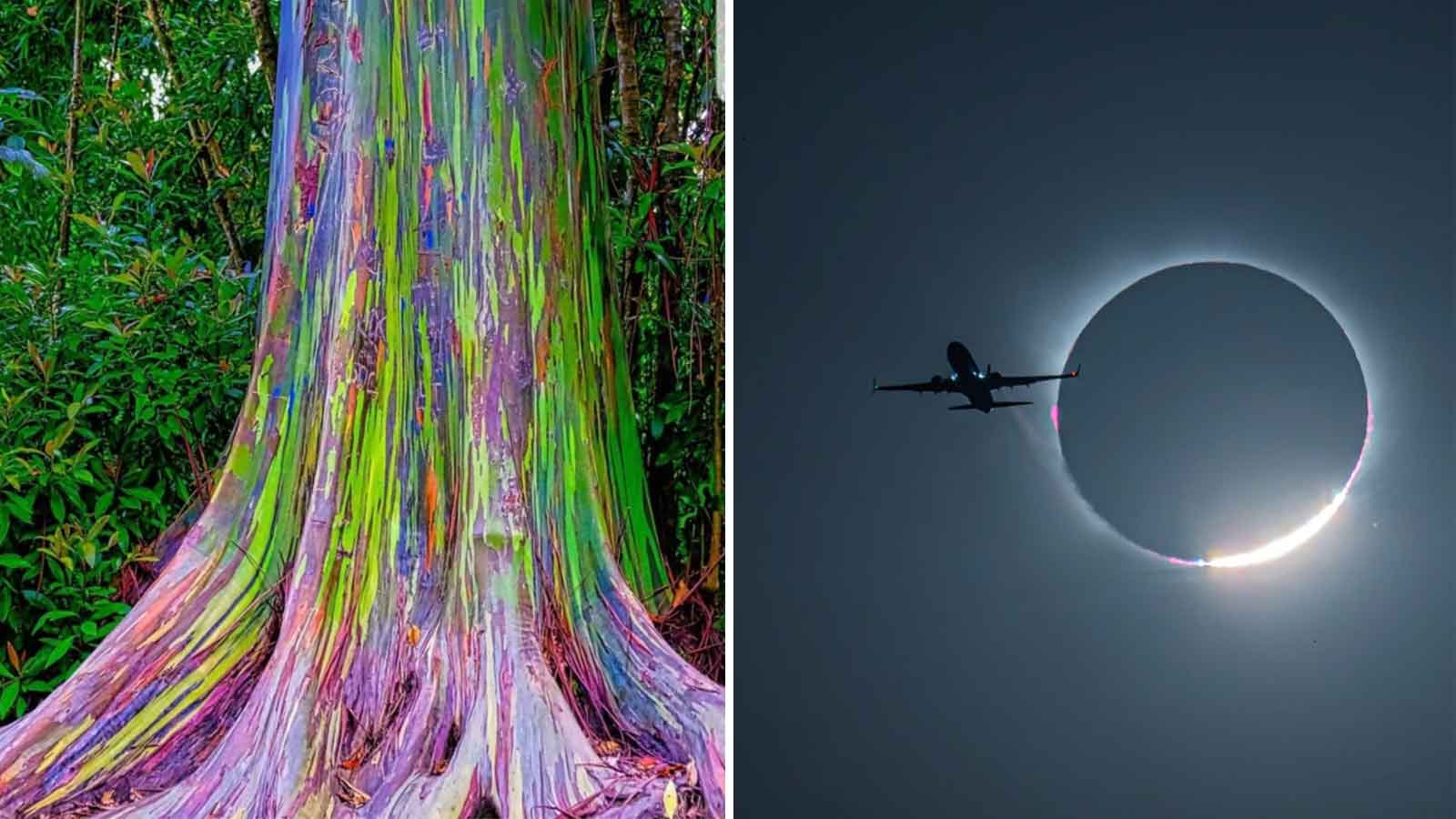 15 Photos That Are Just Flat Out Interesting