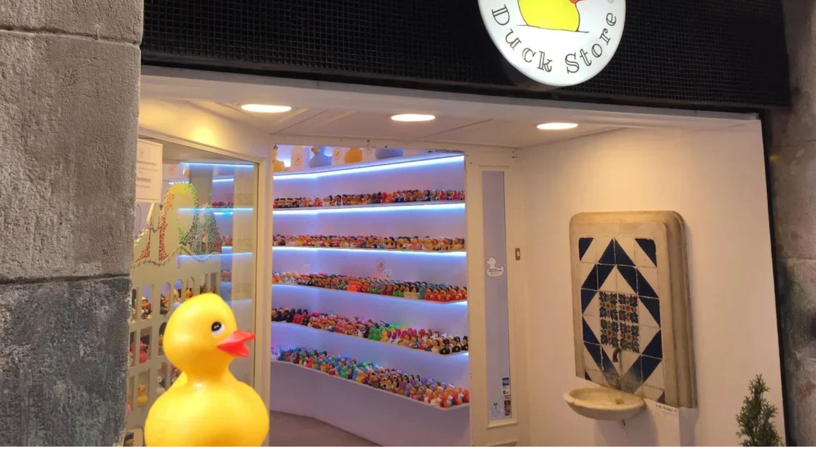 15 Shops With an Extremely Specific Theme