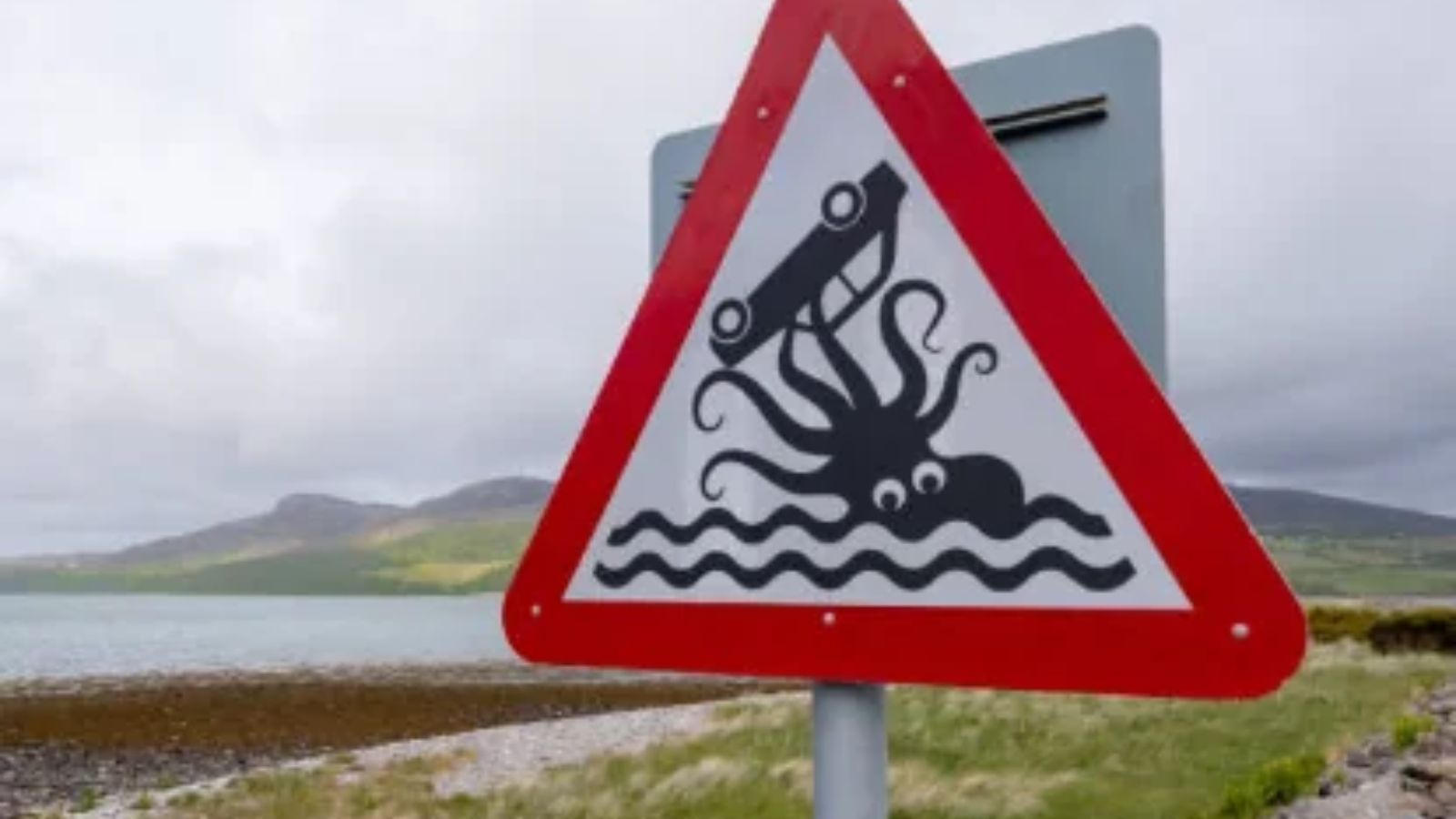 13 Funny Signs Making Everything More Amusing and More Confusing